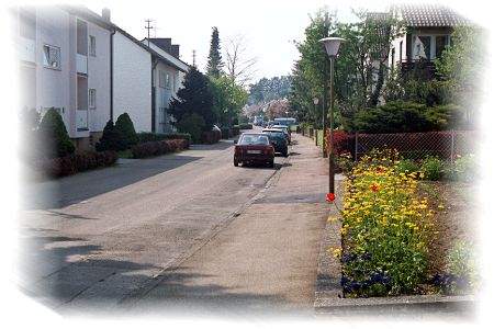 Ginsterweg