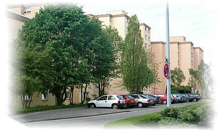 In der Warth (ganz oben)