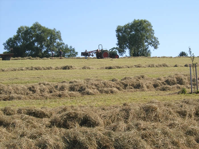 Landwirt bei der Heuernte