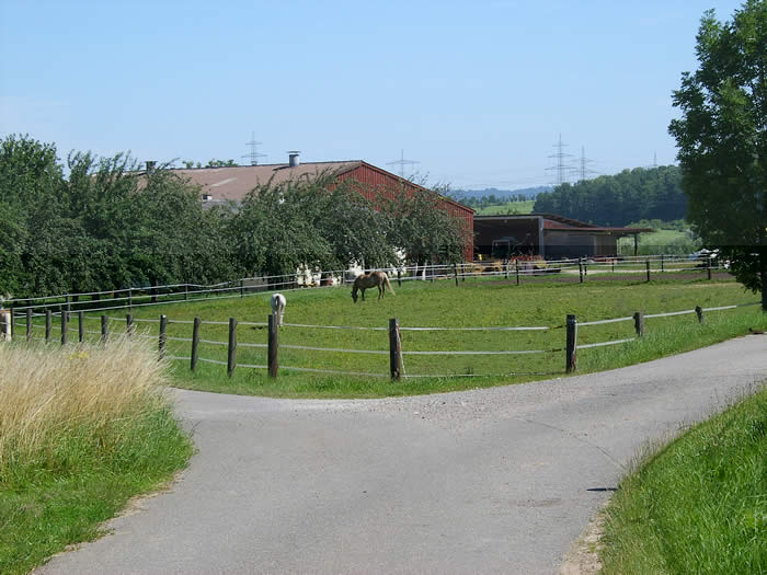 Reiterhof Fischer