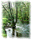lauter_hinter_dornwald.htm
