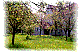 linkstr_rueckseite.htm